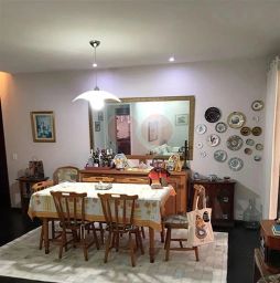 https://img.olx.com.br/thumbs256x256/48/481510160806235.jpg