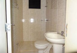 https://img.olx.com.br/thumbs256x256/48/481538166288907.jpg