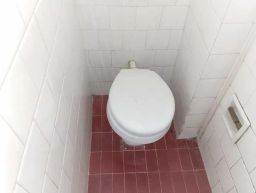 https://img.olx.com.br/thumbs256x256/48/482561265335739.jpg