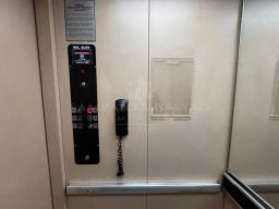 https://img.olx.com.br/thumbs256x256/48/483586270374033.jpg
