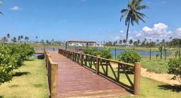 https://img.olx.com.br/thumbs256x256/48/484363304476924.jpg