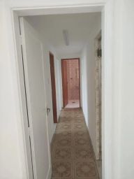 https://img.olx.com.br/thumbs256x256/48/484513400459029.jpg