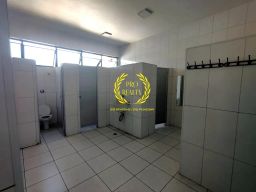 https://img.olx.com.br/thumbs256x256/48/484661459385872.jpg