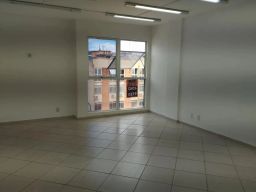 https://img.olx.com.br/thumbs256x256/48/485517153935049.jpg