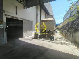 https://img.olx.com.br/thumbs256x256/48/485686335095251.jpg
