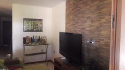 https://img.olx.com.br/thumbs256x256/48/486257567009254.jpg