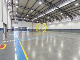 https://img.olx.com.br/thumbs256x256/48/486684090406194.jpg