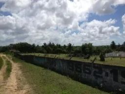 https://img.olx.com.br/thumbs256x256/48/487594289909697.jpg