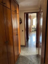 https://img.olx.com.br/thumbs256x256/48/487622069444543.jpg