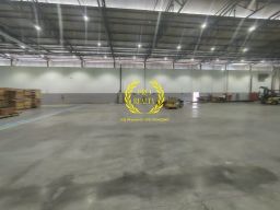 https://img.olx.com.br/thumbs256x256/48/487629690432815.jpg