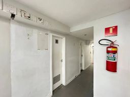 https://img.olx.com.br/thumbs256x256/48/488505277708812.jpg