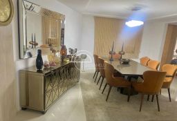 https://img.olx.com.br/thumbs256x256/48/488579152358511.jpg