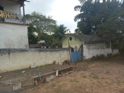 https://img.olx.com.br/thumbs256x256/48/488598152098868.jpg