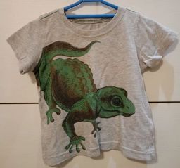 https://img.olx.com.br/thumbs256x256/48/489366714546957.jpg
