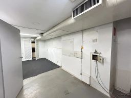 https://img.olx.com.br/thumbs256x256/48/489504273810111.jpg
