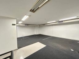https://img.olx.com.br/thumbs256x256/48/489552397169779.jpg