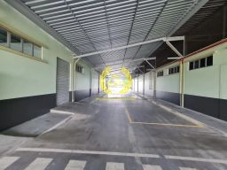 https://img.olx.com.br/thumbs256x256/48/489643057294978.jpg