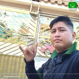 https://img.olx.com.br/thumbs256x256/49/491423690198376.jpg