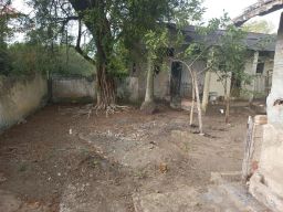 https://img.olx.com.br/thumbs256x256/49/491530271737603.jpg