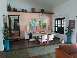 https://img.olx.com.br/thumbs256x256/49/491533404225610.jpg