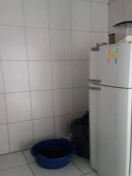 https://img.olx.com.br/thumbs256x256/49/491561758949390.jpg