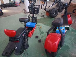 https://img.olx.com.br/thumbs256x256/49/492501503218556.jpg