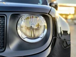 https://img.olx.com.br/thumbs256x256/49/492511767113932.jpg