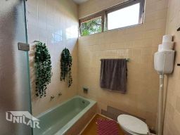 https://img.olx.com.br/thumbs256x256/49/492513045674322.jpg