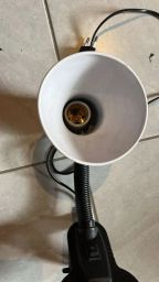 https://img.olx.com.br/thumbs256x256/49/492515131807843.jpg
