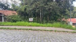 https://img.olx.com.br/thumbs256x256/49/492519149502757.jpg
