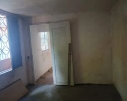 https://img.olx.com.br/thumbs256x256/49/492529766459165.jpg
