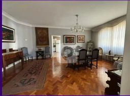 https://img.olx.com.br/thumbs256x256/49/492537522022993.jpg