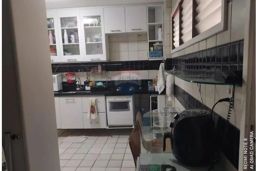 https://img.olx.com.br/thumbs256x256/49/492572525352288.jpg