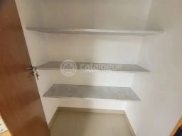 https://img.olx.com.br/thumbs256x256/49/492591768910839.jpg