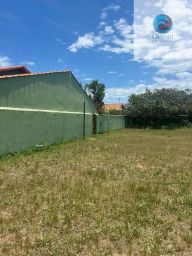 https://img.olx.com.br/thumbs256x256/49/493519888276775.jpg
