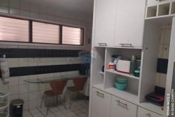 https://img.olx.com.br/thumbs256x256/49/493521407196653.jpg