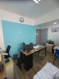 https://img.olx.com.br/thumbs256x256/49/493548169554057.jpg