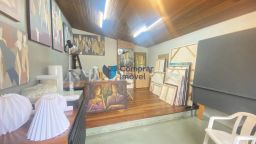 https://img.olx.com.br/thumbs256x256/49/493569396302327.jpg