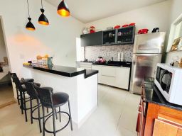 https://img.olx.com.br/thumbs256x256/49/493588645103590.jpg