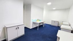 https://img.olx.com.br/thumbs256x256/49/494515289468981.jpg
