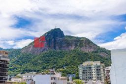 https://img.olx.com.br/thumbs256x256/49/494537641808243.jpg