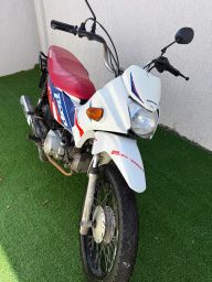 https://img.olx.com.br/thumbs256x256/49/494554380819392.jpg