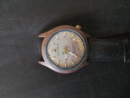 https://img.olx.com.br/thumbs256x256/49/494557886495059.jpg
