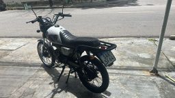 https://img.olx.com.br/thumbs256x256/49/494563396279075.jpg
