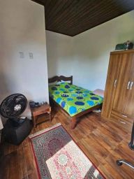 https://img.olx.com.br/thumbs256x256/49/494580165522610.jpg