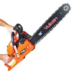 https://img.olx.com.br/thumbs256x256/49/494681634513476.jpg