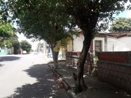 https://img.olx.com.br/thumbs256x256/49/495507400700738.jpg