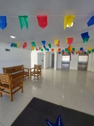 https://img.olx.com.br/thumbs256x256/49/495509649563136.jpg