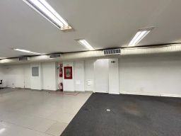 https://img.olx.com.br/thumbs256x256/49/495535154146193.jpg