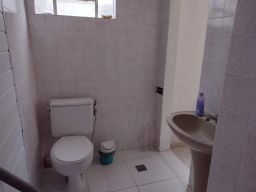 https://img.olx.com.br/thumbs256x256/49/495539621030058.jpg